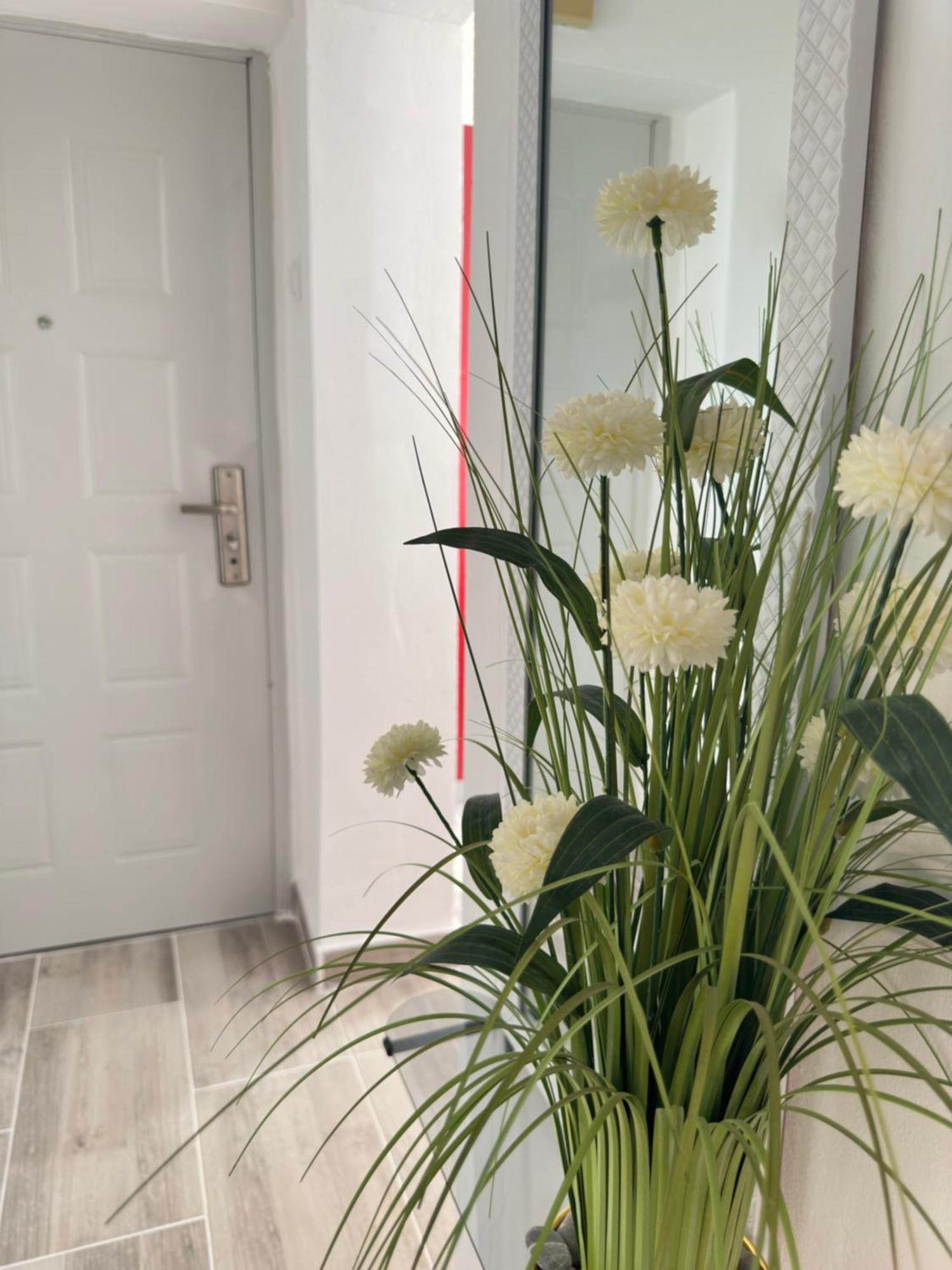 Apartment Maky 자다르 외부 사진